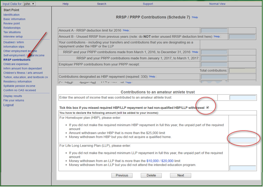 rrsp minimum repayment